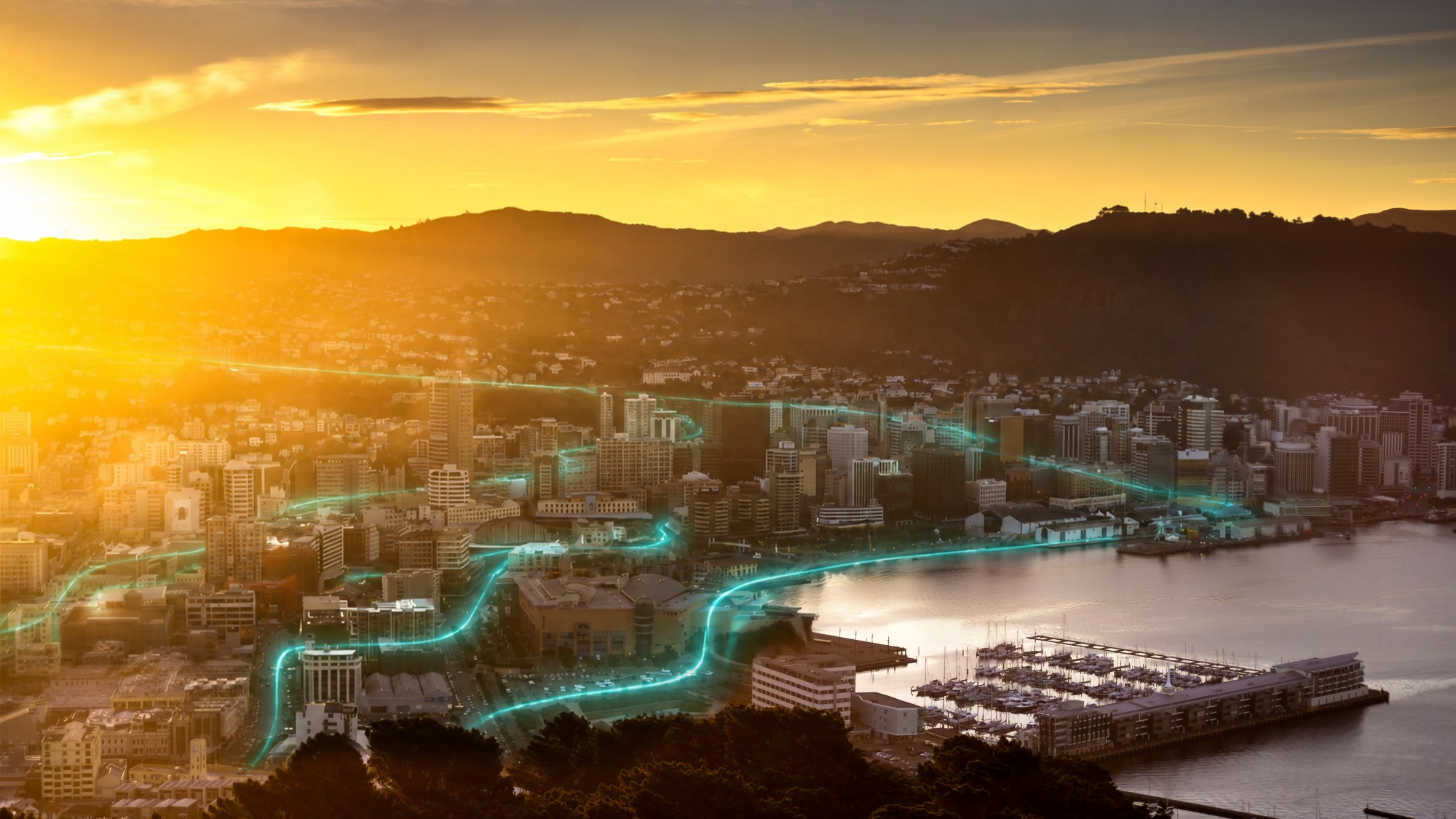 WellingtonCity