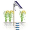 MP406 Setup with IoT Solar Real Time Monitoring SNiPMP4 1 700x804 1