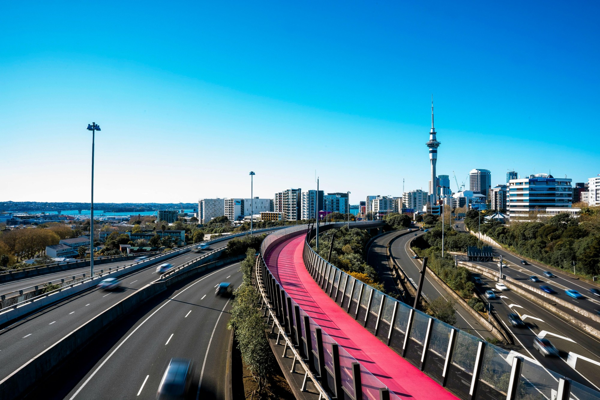 Auckland pink lane