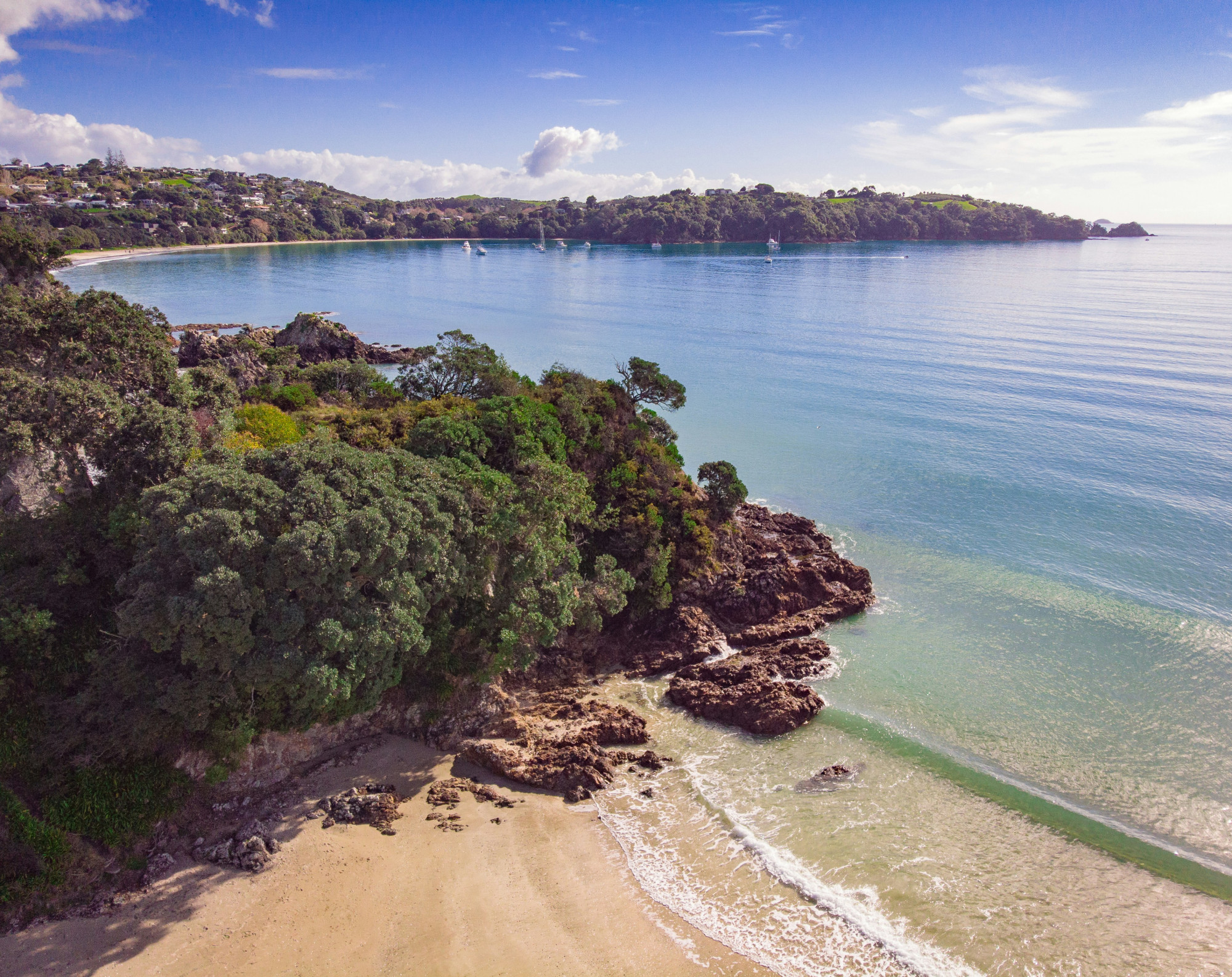 look up look down photography nvHlBqL5BHQ unsplas Waiheke