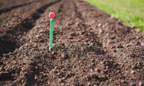 Soil Health